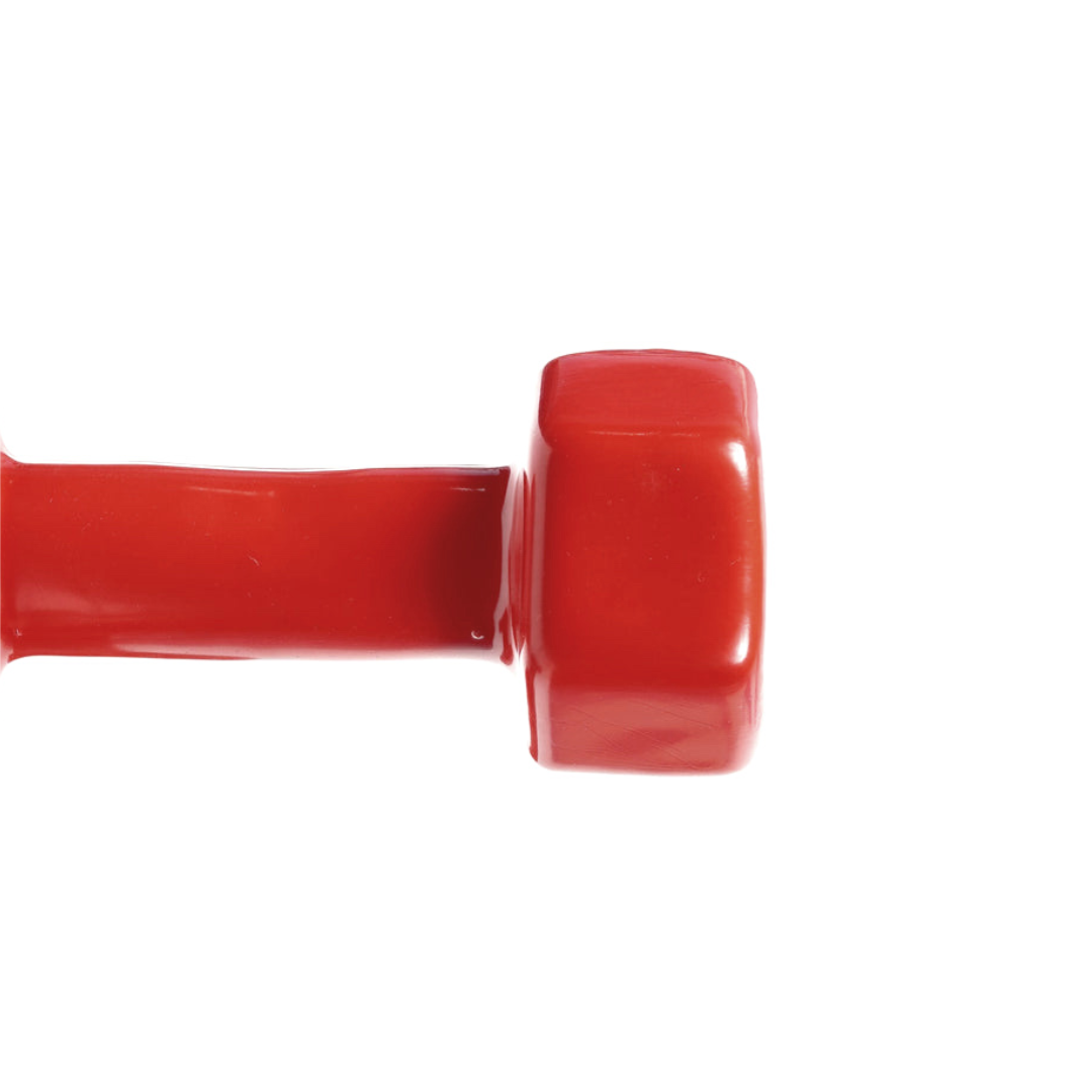 Vinyl Dumbbell - Pair Swift Fitness