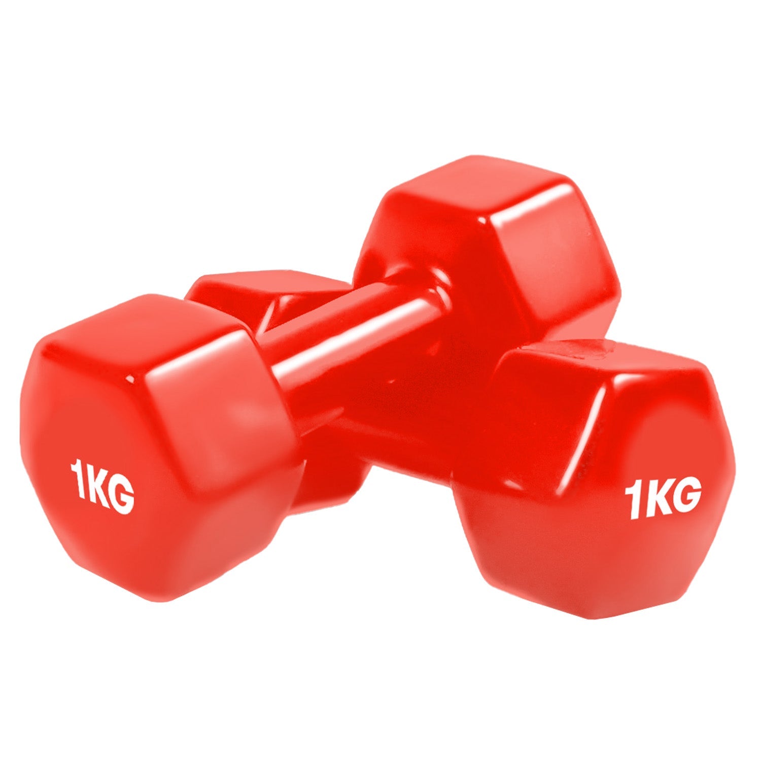 Vinyl Dumbbell - Pair Swift Fitness