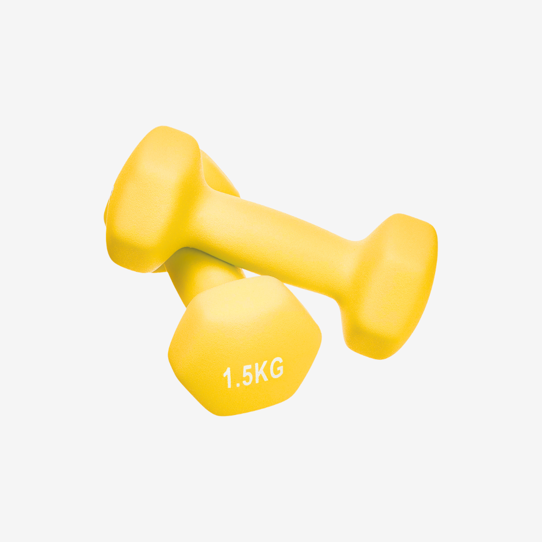 Coloured Dumbbells (Pair) | Matte Edition