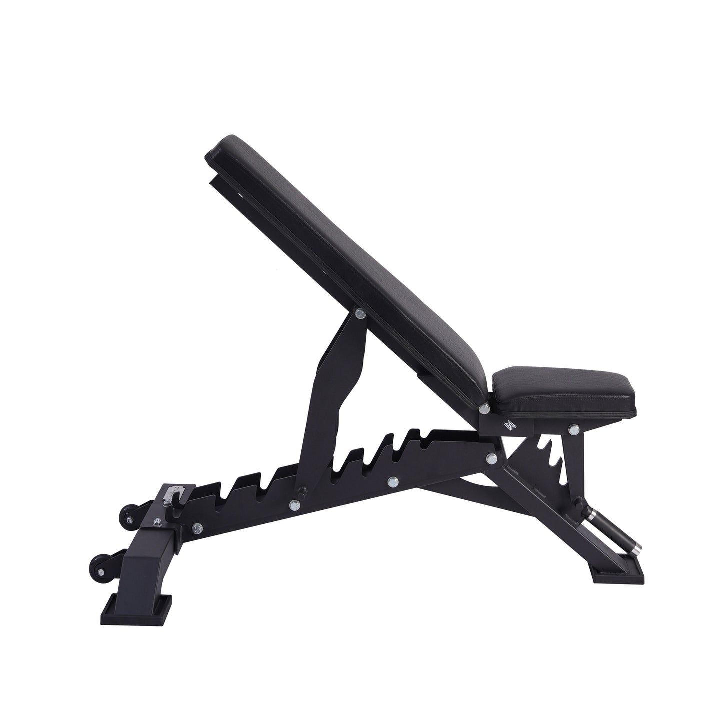 Premium Adjustable Exercise Bench
