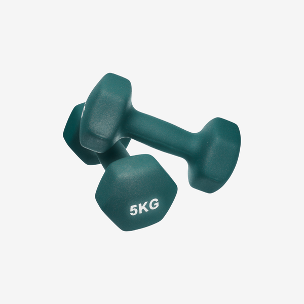 Coloured Dumbbells (Pair) | Matte Edition